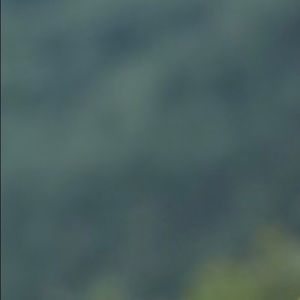 Meet your Posher, Aj